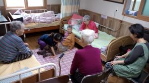 2019�� 1�� ġ�ſ���